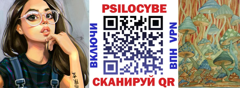 Псилоцибиновые грибы Psilocybine cubensis  Анадырь 